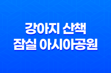 강아지 산책, 잠실 아시아공원에서 즐겁게 보내기 9