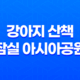 강아지 산책, 잠실 아시아공원에서 즐겁게 보내기 71