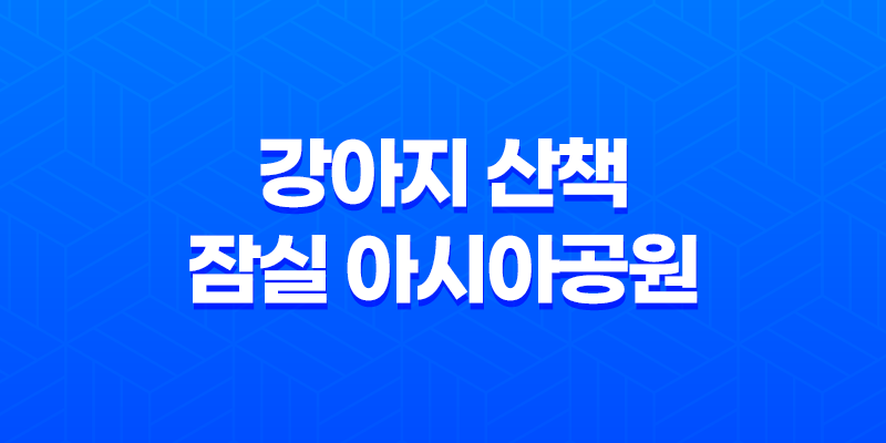 강아지 산책, 잠실 아시아공원에서 즐겁게 보내기 7