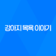 강아지 목욕을 즐기는 구름이와 루이 67