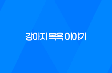 강아지 목욕을 즐기는 구름이와 루이 9