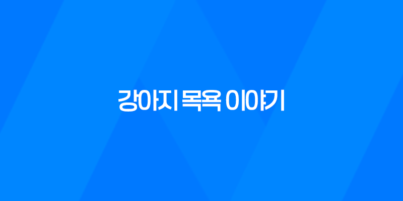 강아지 목욕을 즐기는 구름이와 루이 7