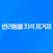 강아지 입냄새 헬로 맘마미아 반려동물 치석 제거제로 입냄새 깔끔하게 67