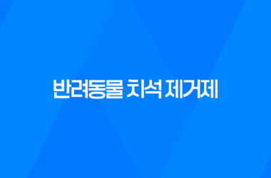 강아지 입냄새 헬로 맘마미아 반려동물 치석 제거제로 입냄새 깔끔하게 7