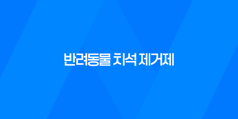 강아지 입냄새 헬로 맘마미아 반려동물 치석 제거제로 입냄새 깔끔하게 7