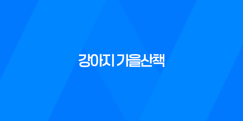 강아지 가을산책 - 아시아공원 다녀왔어요! 8 강아지 가을산책 - 아시아공원 다녀왔어요! 7
