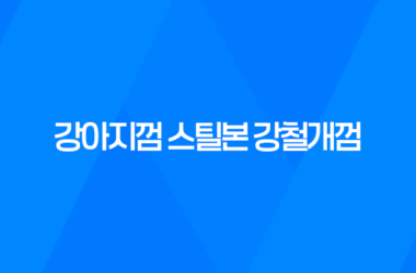 강아지껌 스틸본 강철개껌 오래먹는껌 후기 11