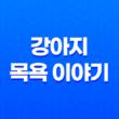 강아지 목욕을 즐기는 구름이와 루이 73