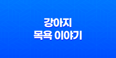 강아지 목욕을 즐기는 구름이와 루이 61