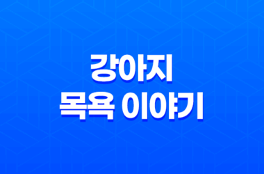 강아지 목욕을 즐기는 구름이와 루이 29