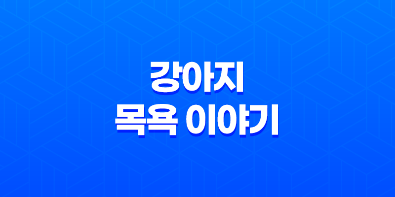 강아지 목욕을 즐기는 구름이와 루이 7