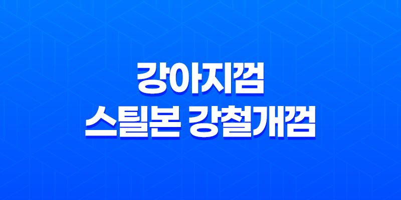 강아지껌 스틸본 강철개껌 오래먹는껌 후기 8 강아지껌 스틸본 강철개껌 오래먹는껌 후기 7