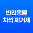 강아지 입냄새 헬로 맘마미아 반려동물 치석 제거제로 입냄새 깔끔하게 67