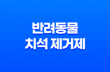 강아지 입냄새 헬로 맘마미아 반려동물 치석 제거제로 입냄새 깔끔하게 27