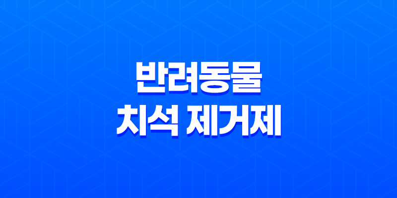 강아지 입냄새 헬로 맘마미아 반려동물 치석 제거제로 입냄새 깔끔하게 8 강아지 입냄새 헬로 맘마미아 반려동물 치석 제거제로 입냄새 깔끔하게 7