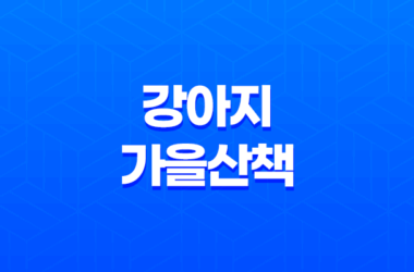 강아지 가을산책 - 아시아공원 다녀왔어요! 25