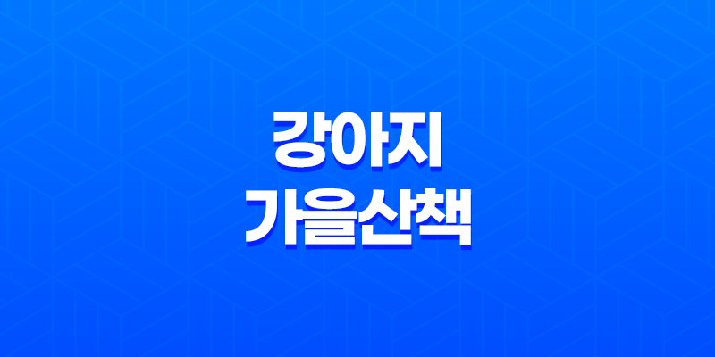 강아지 가을산책 - 아시아공원 다녀왔어요! 7