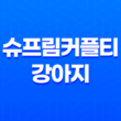슈프림커플티, 강아지들의 패션 런웨이 시작합니다! 69
