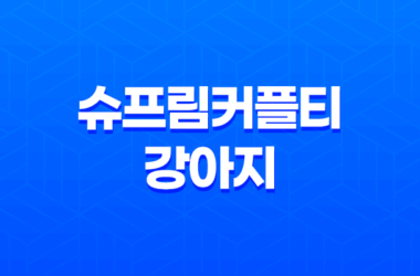 슈프림커플티, 강아지들의 패션 런웨이 시작합니다! 23