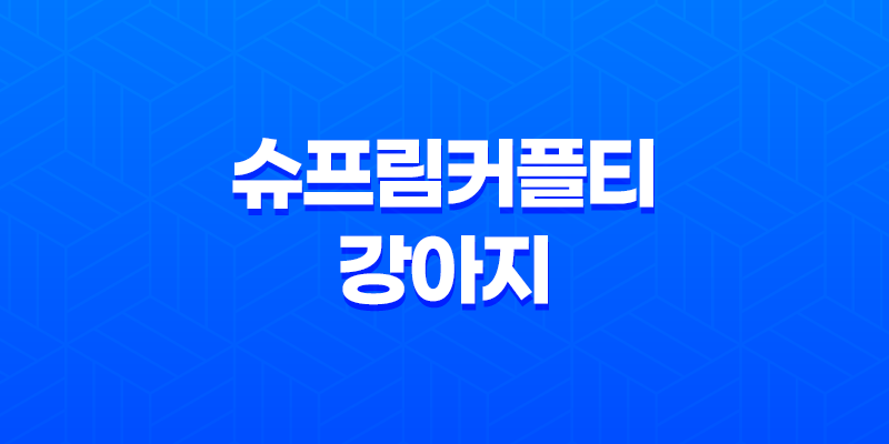 슈프림커플티, 강아지들의 패션 런웨이 시작합니다! 8 슈프림커플티, 강아지들의 패션 런웨이 시작합니다! 7