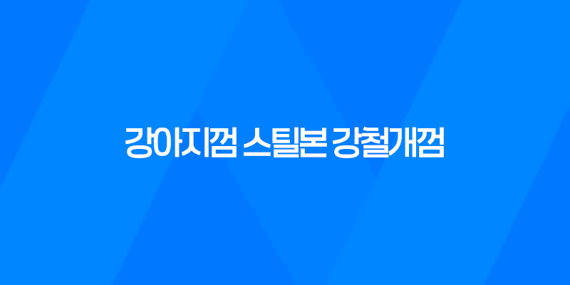강아지껌 스틸본 강철개껌 오래먹는껌 후기 7