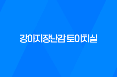 강아지장난감 토이치실, 치석 제거와 놀이를 동시에! 13