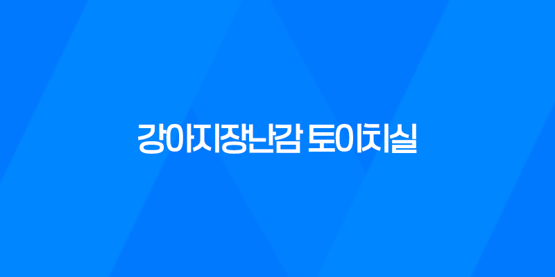 강아지장난감 토이치실, 치석 제거와 놀이를 동시에! 7