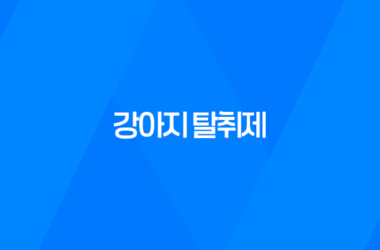 클로펫, 강아지 냄새 제거에 뛰어난 효과를 자랑하는 강아지 탈취제 11