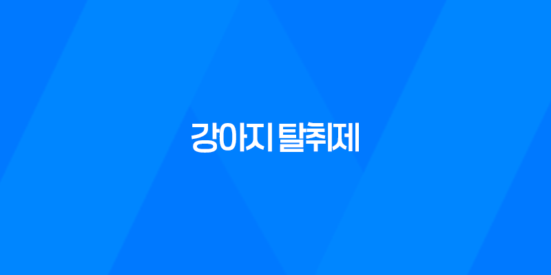 클로펫, 강아지 냄새 제거에 뛰어난 효과를 자랑하는 강아지 탈취제 8 클로펫, 강아지 냄새 제거에 뛰어난 효과를 자랑하는 강아지 탈취제 7
