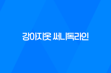 강아지옷 써니독라인, 개성 넘치고 고급스러움이 돋보이는 제품! 9