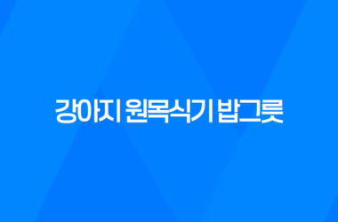 강아지 원목식기 밥그릇 후기(일본 직수입) 15