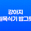 강아지 원목식기 밥그릇 후기(일본 직수입) 43