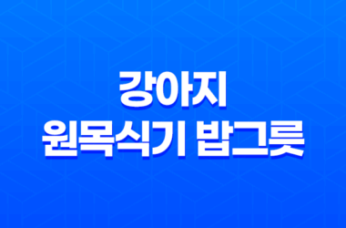 강아지 원목식기 밥그릇 후기(일본 직수입) 21