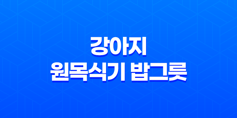 강아지 원목식기 밥그릇 후기(일본 직수입) 8 강아지 원목식기 밥그릇 후기(일본 직수입) 7