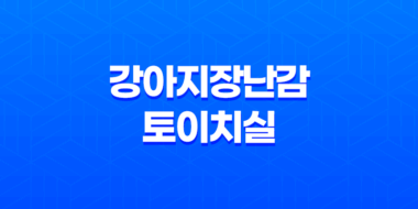 강아지장난감 토이치실, 치석 제거와 놀이를 동시에! 49