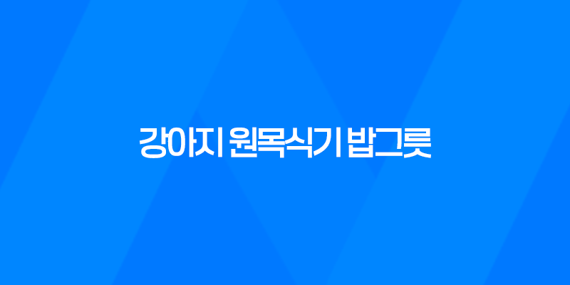 강아지 원목식기 밥그릇 후기(일본 직수입) 8 강아지 원목식기 밥그릇 후기(일본 직수입) 7