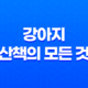 강아지 산책의 모든 것, 비 오는 날과 태풍 이후 54 강아지 산책의 모든 것, 비 오는 날과 태풍 이후 53