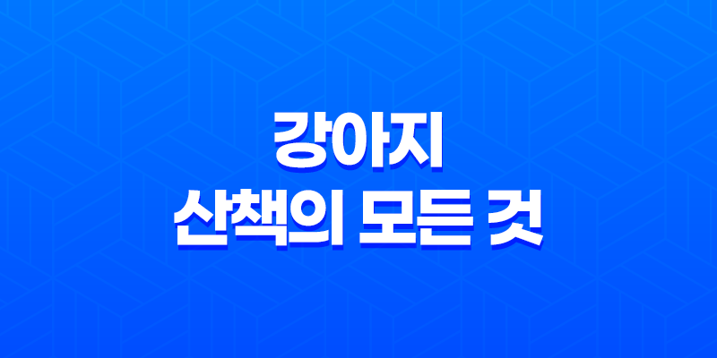 강아지 산책의 모든 것, 비 오는 날과 태풍 이후 8 강아지 산책의 모든 것, 비 오는 날과 태풍 이후 7