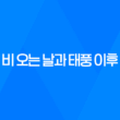 강아지 산책의 모든 것, 비 오는 날과 태풍 이후 53