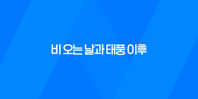 강아지 산책의 모든 것, 비 오는 날과 태풍 이후 7