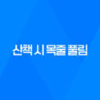 강아지 산책 시 목줄 풀림 강아지사고 43