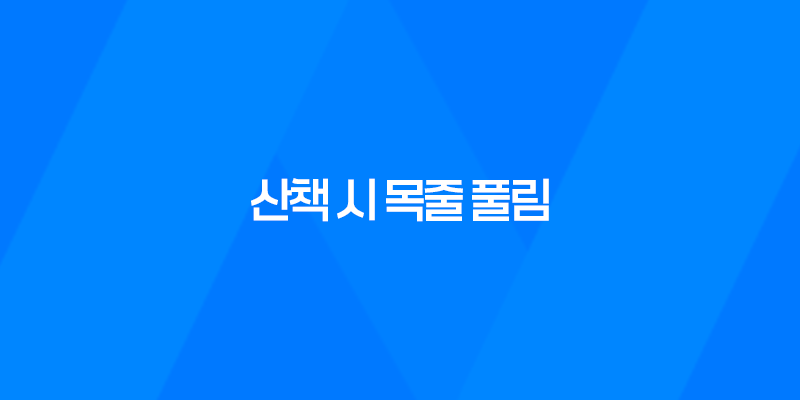 강아지 산책 시 목줄 풀림 강아지사고 8 강아지 산책 시 목줄 풀림 강아지사고 7