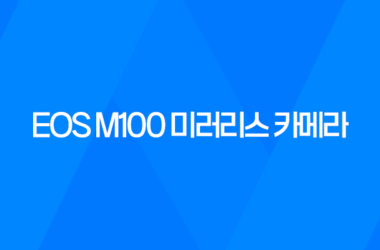 EOS M100 미러리스 카메라 후기 및 강아지 촬영사진 15
