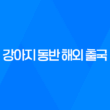 강아지 동반 해외 출국 - 일본 입국을 위한 체크리스트 31