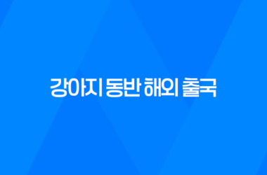 강아지 동반 해외 출국 - 일본 입국을 위한 체크리스트 13