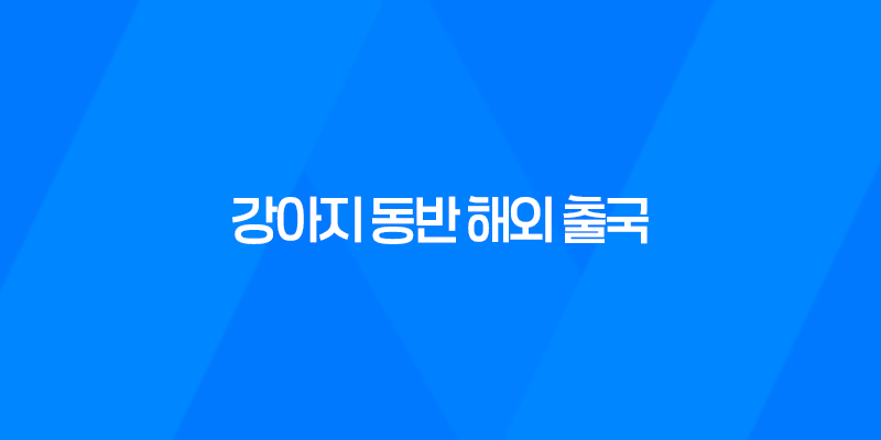 강아지 동반 해외 출국 - 일본 입국을 위한 체크리스트 7
