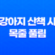 강아지 산책 시 목줄 풀림 강아지사고 45