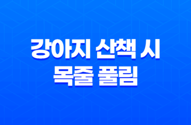 강아지 산책 시 목줄 풀림 강아지사고 25