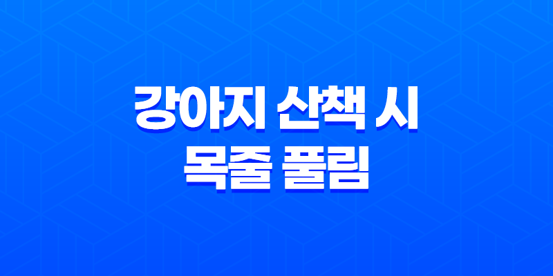 강아지 산책 시 목줄 풀림 강아지사고 8 강아지 산책 시 목줄 풀림 강아지사고 7