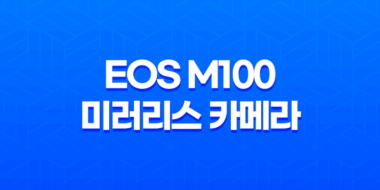 EOS M100 미러리스 카메라 후기 및 강아지 촬영사진 77